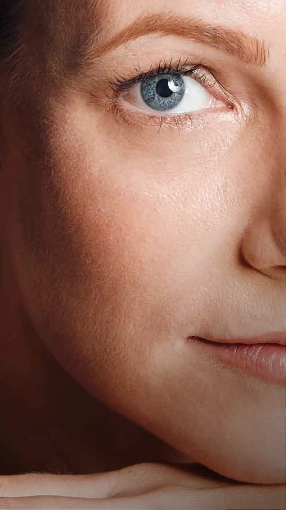 banner image